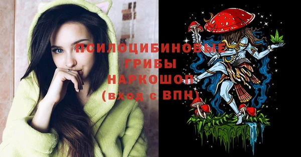 дживик Армянск