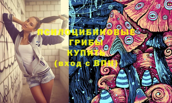 прущие крисы Арсеньев