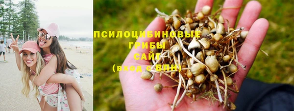 а пвп мука Саяногорск