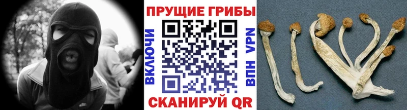 Галлюциногенные грибы Magic Shrooms  дарнет шоп  Белая Холуница 